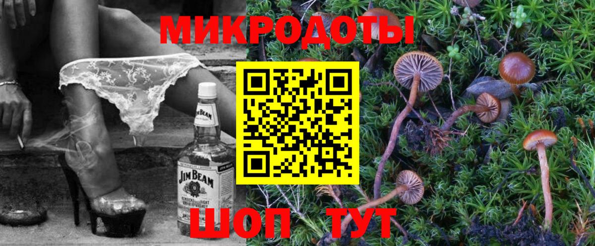 Советская Гавань  Галлюциногенные грибы Psilocybine cubensis  закладки  Галлюциногенные грибы Cubensis  Вход с VPN 