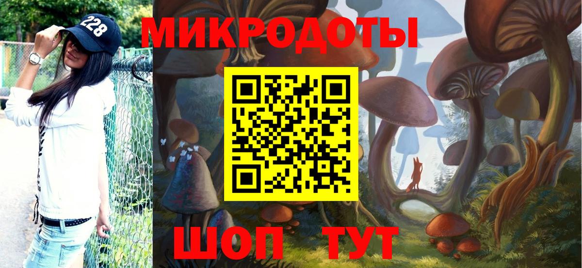 Галлюциногенные грибы Psilocybine cubensis Советская Гавань