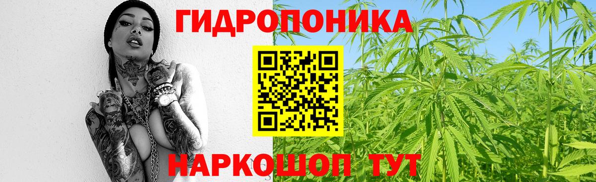 Канабис SATIVA & INDICA Советская Гавань